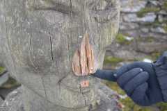 IMG-20250205-WA0001