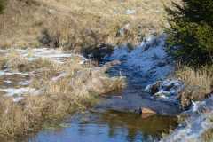 IMG-20250205-WA0017